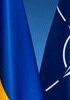 nato.jpg